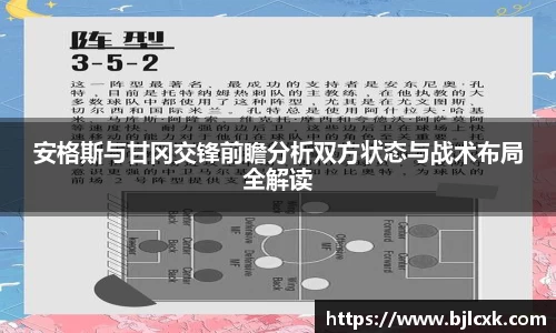 3377体育官网