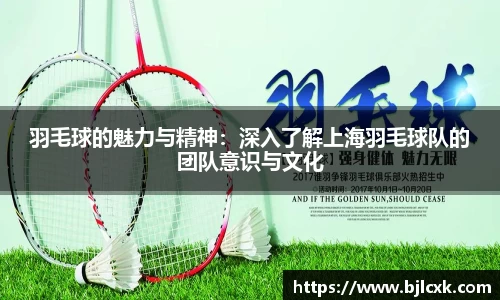3377体育官网