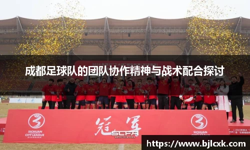 成都足球队的团队协作精神与战术配合探讨