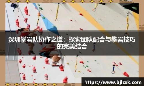3377体育官网